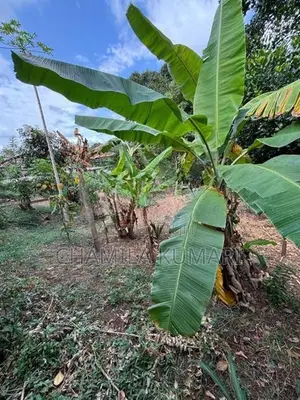 ඉඩමක් විකිණීමට කෙන්ගල්ල දිගන
