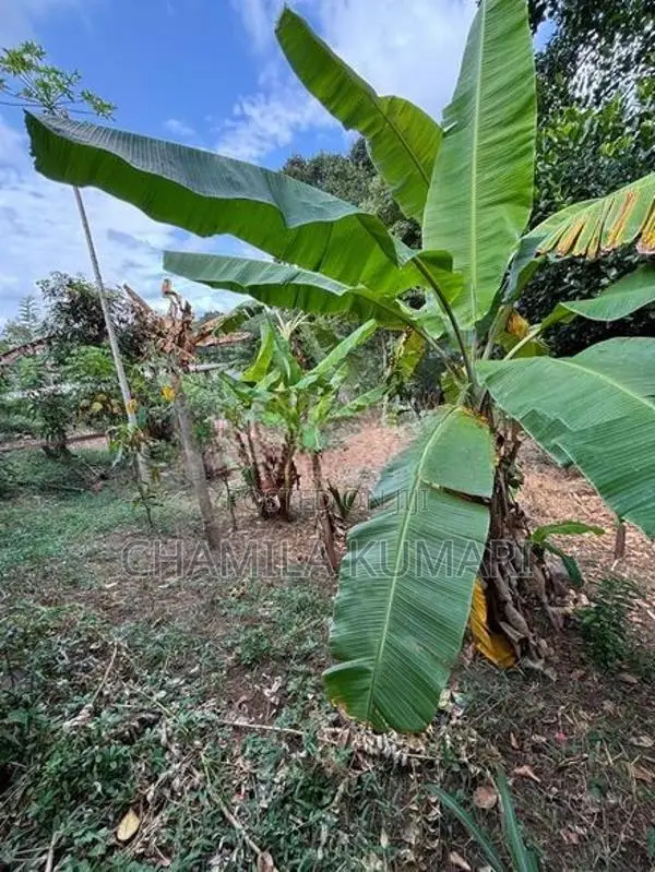 ඉඩමක් විකිණීමට කෙන්ගල්ල දිගන