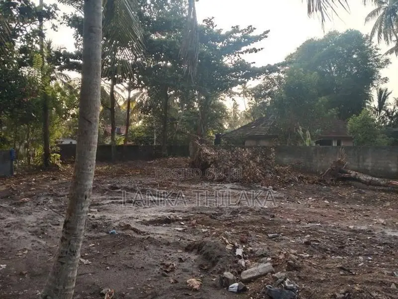 Land for Sale in Panadura