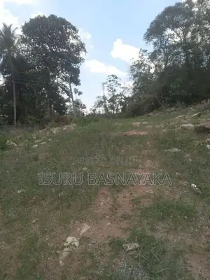Kottawa Thalagala Brahmanagama 3.6 Acres Land with House Fot Rent