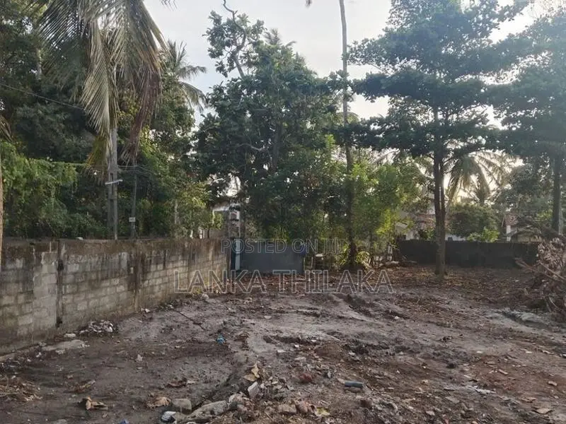Land for Sale in Panadura