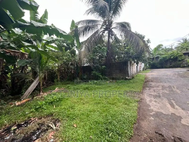Moratuwa Katubadda පර්චස් 6ක මුලු ඉඩම