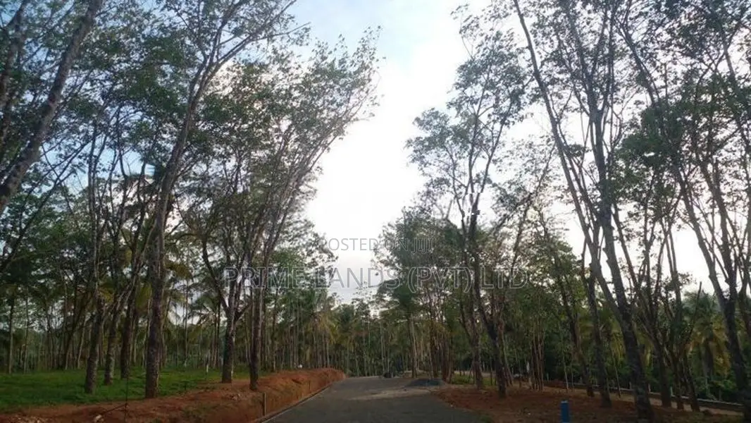 Land for Sale Ahangama