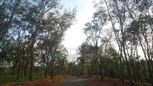 Land for Sale Ahangama