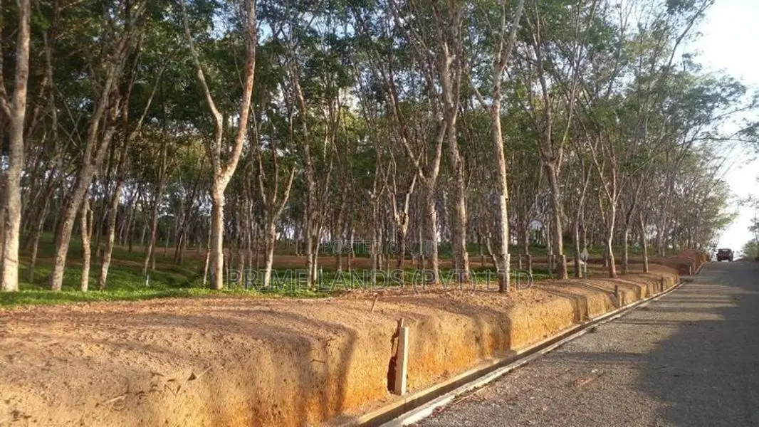 Land for Sale Ahangama