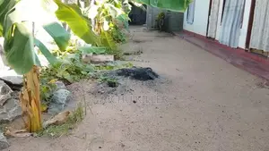 House for Sale Akkaraipattu