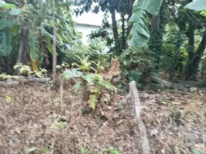 Valuable Land for Sale Maharagama