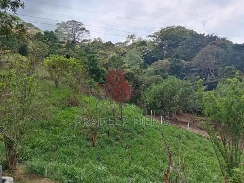 Valuable Land Herassagala Kandy