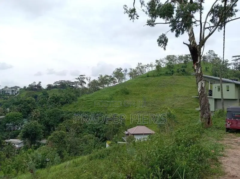 Panoramic View Land Herassagala