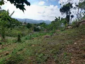 Valuable Land Herassagala Kandy