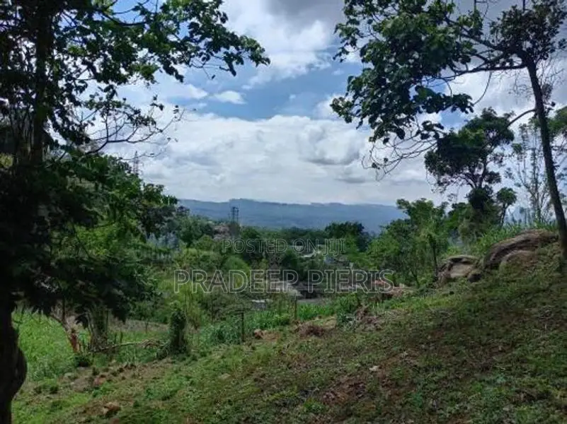 Valuable Land Herassagala Kandy