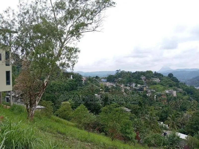 Panoramic View Land Herassagala