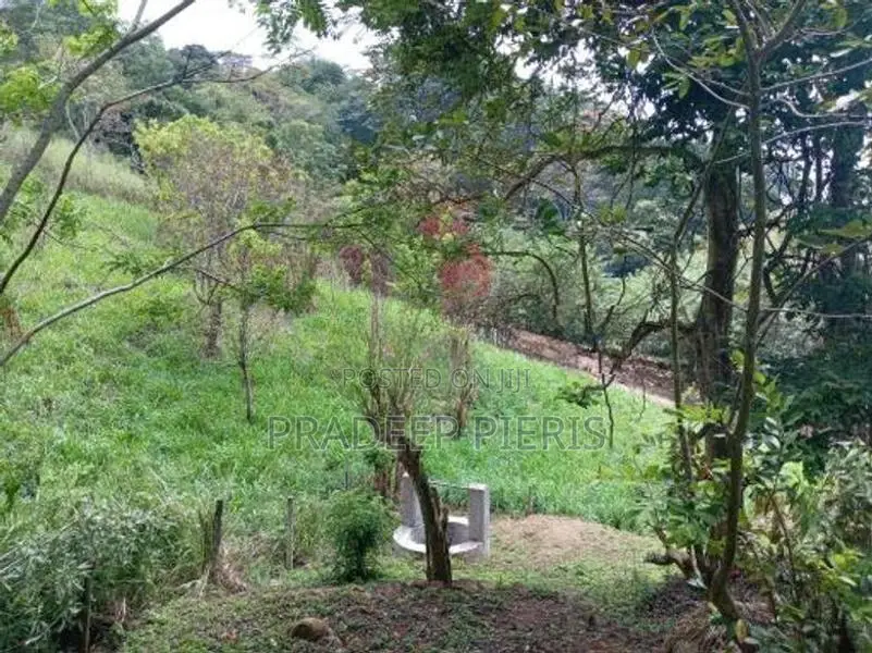 Valuable Land Herassagala Kandy