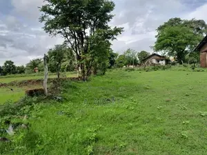 Land For Sale கிண்ணியா