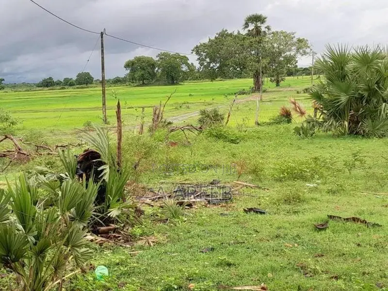 Land For Sale கிண்ணியா