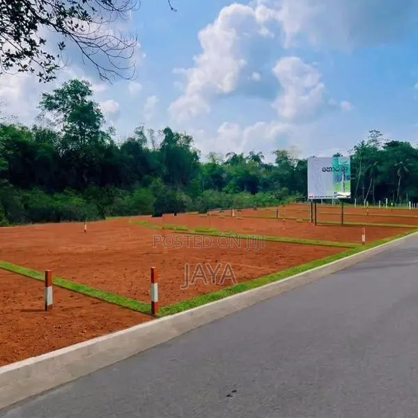 හොරණින් අගනා බිම් කොටසක්