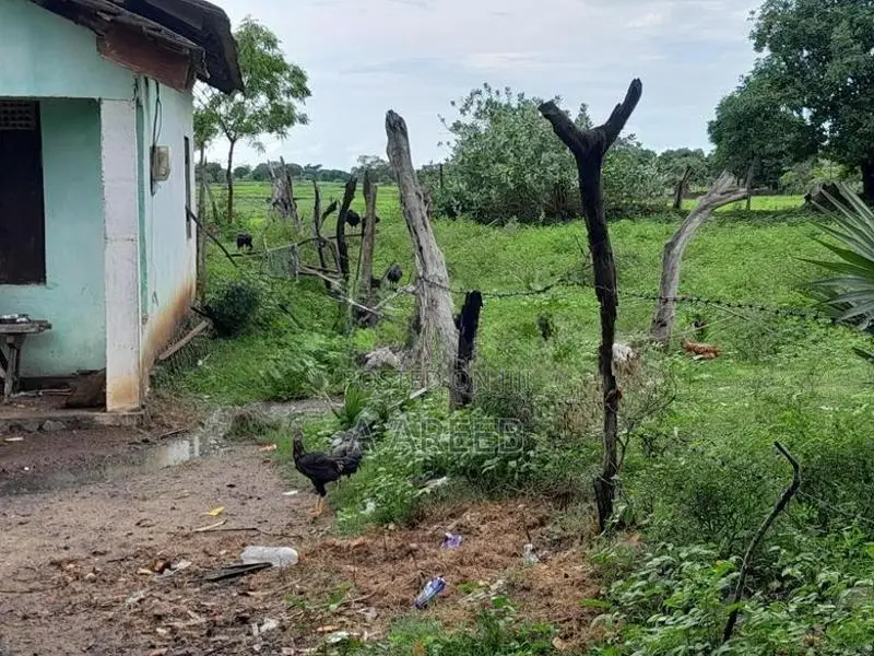 Land For Sale கிண்ணியா