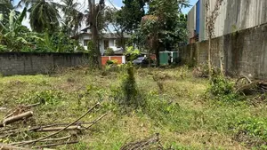 Top Land for Sale Pannipitiya