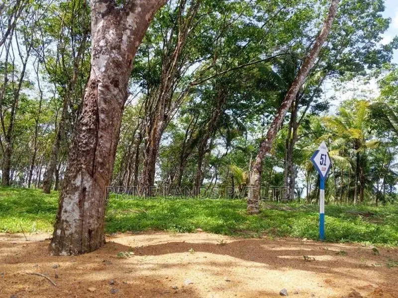 Lands for Sale Ahangama