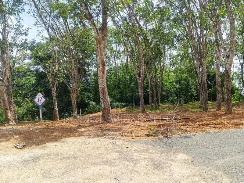 Lands for Sale Ahangama