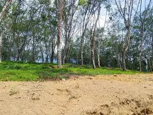 Lands for Sale Ahangama