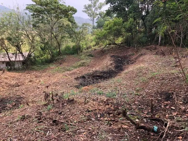 20 Perches land for sale in Nawalapitiya