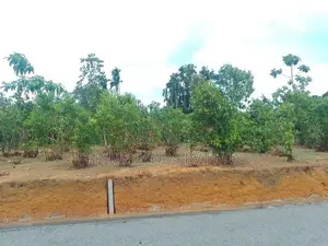 Land in Aluthwala