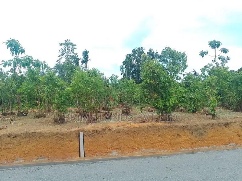 Land in Aluthwala