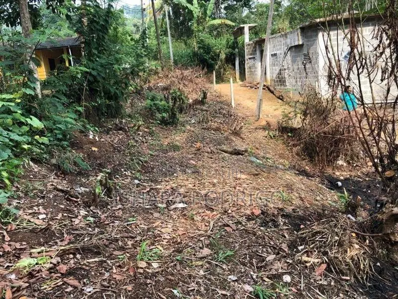 20 Perches land for sale in Nawalapitiya
