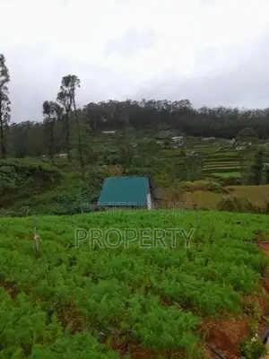 10 Perch Land for Sale in Nuwara Eliya
