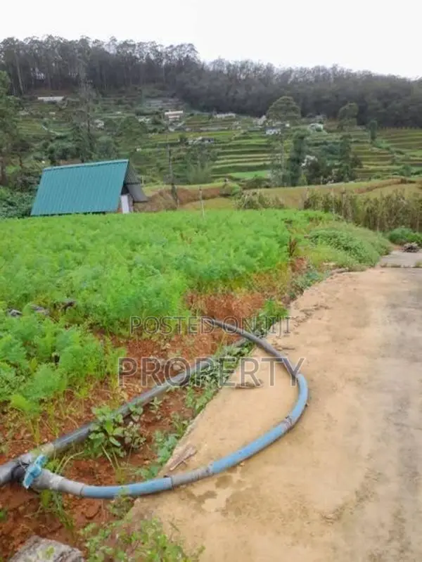 10 Perch Land for Sale in Nuwara Eliya