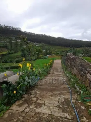 10 Perch Land for Sale in Nuwara Eliya