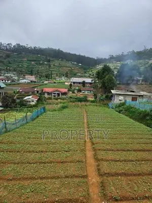 Prime Located Land for Sale in Nuwara Eliya Shanthipura