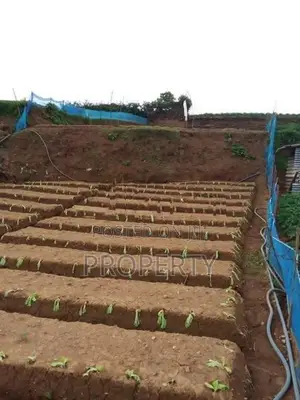 Prime Located Land for Sale in Nuwara Eliya Shanthipura