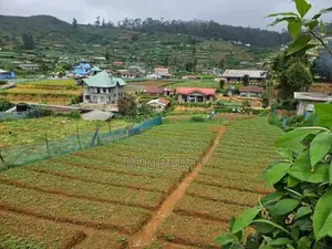 Prime Located Land for Sale in Nuwara Eliya Shanthipura