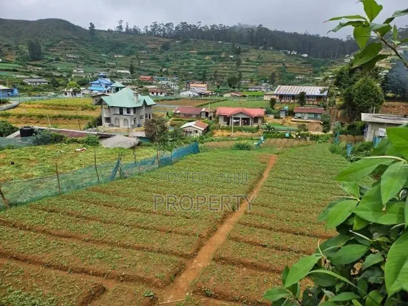Prime Located Land for Sale in Nuwara Eliya Shanthipura