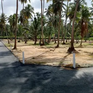 වේයන්ගොඩ නයිවල බිම්කොටස්