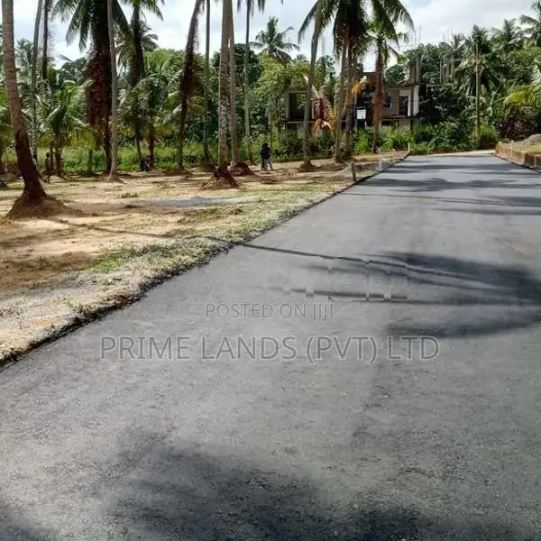 වේයන්ගොඩ නයිවල බිම්කොටස්