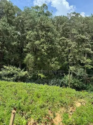Prime Located 60 Perch Land for Sale in Nuwara Eliya Katumana