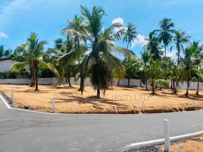 කදාන රිලවුල්ල දොලහේන පාරෙන්