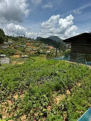 Prime Located 60 Perch Land for Sale in Nuwara Eliya Katumana
