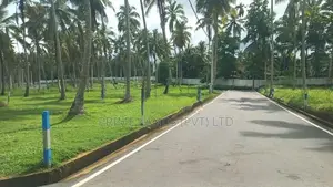 යක්කල කිරිදිවැල බස් පාරෙන්