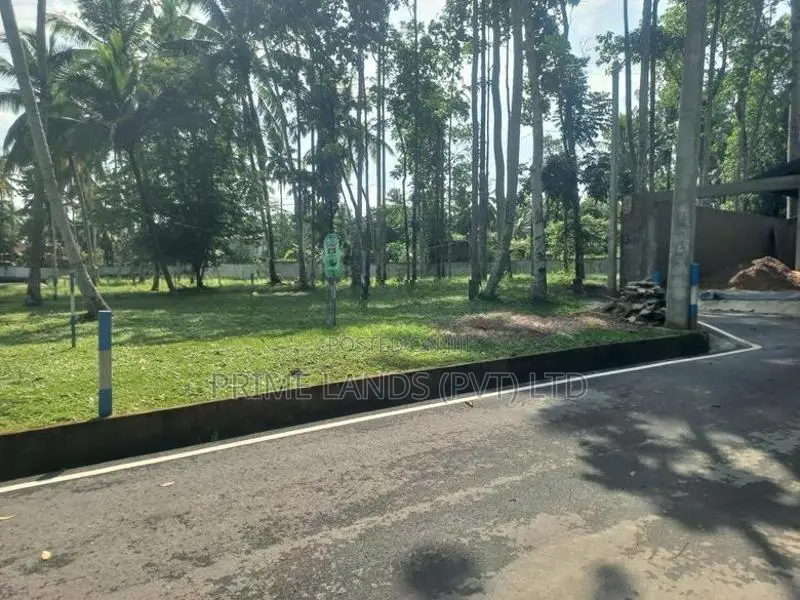 යක්කල කිරිදිවැල බස් පාරෙන්