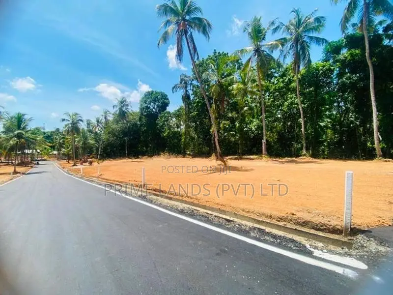 කදාන රිලවුල්ල දොලහේන පාරෙන්