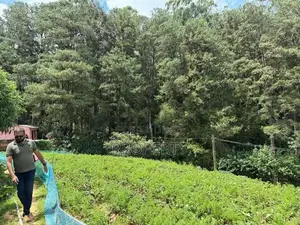 Prime Located 60 Perch Land for Sale in Nuwara Eliya Katumana