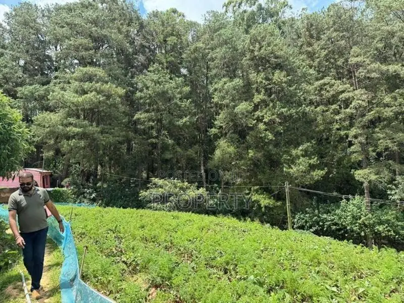 Prime Located 60 Perch Land for Sale in Nuwara Eliya Katumana