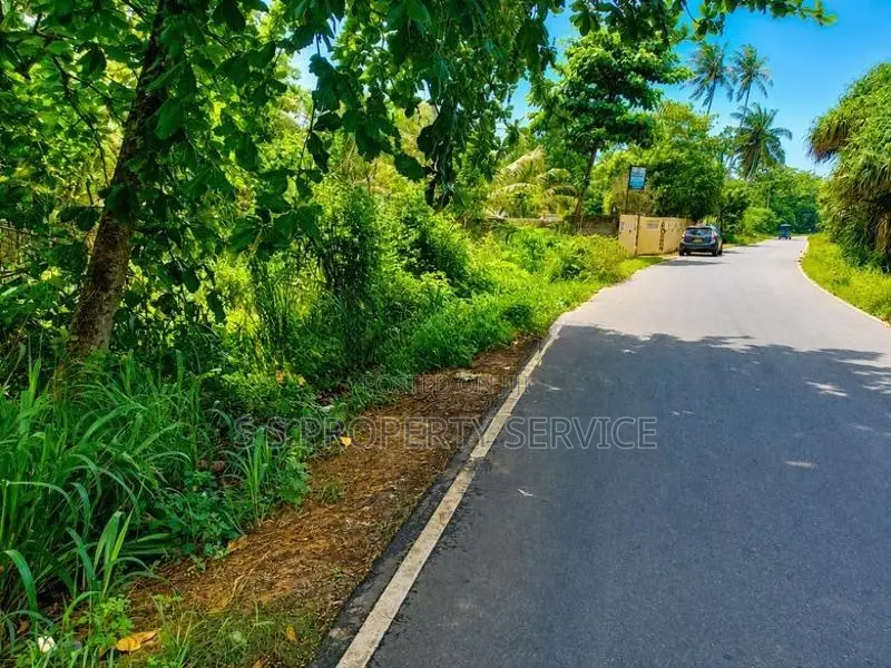 58 Perches of Land for Sale Near Hiriketiya Tourist Beach (sspl-490)