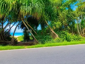 58 Perches of Land for Sale Near Hiriketiya Tourist Beach (sspl-490)