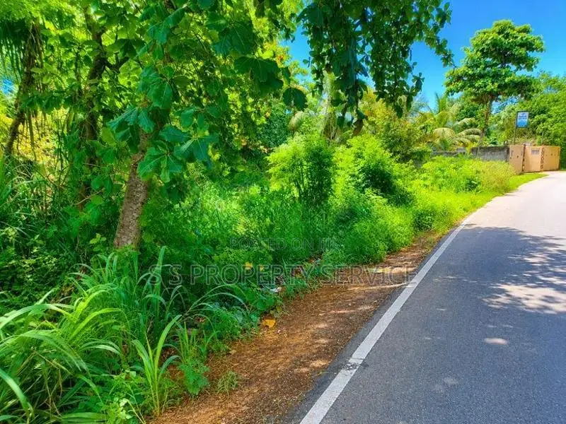 58 Perches of Land for Sale Near Hiriketiya Tourist Beach (sspl-490)