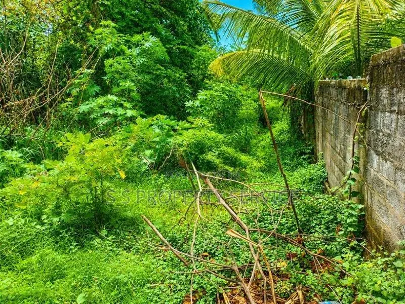 58 Perches of Land for Sale Near Hiriketiya Tourist Beach (sspl-490)